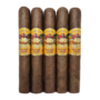 San Cristobal Golden Hour Pacifico 64 x 6¼