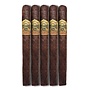 Ashton VSG Spellbound 54 x 7½