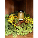 Cheerful Giver Bayberry Baby