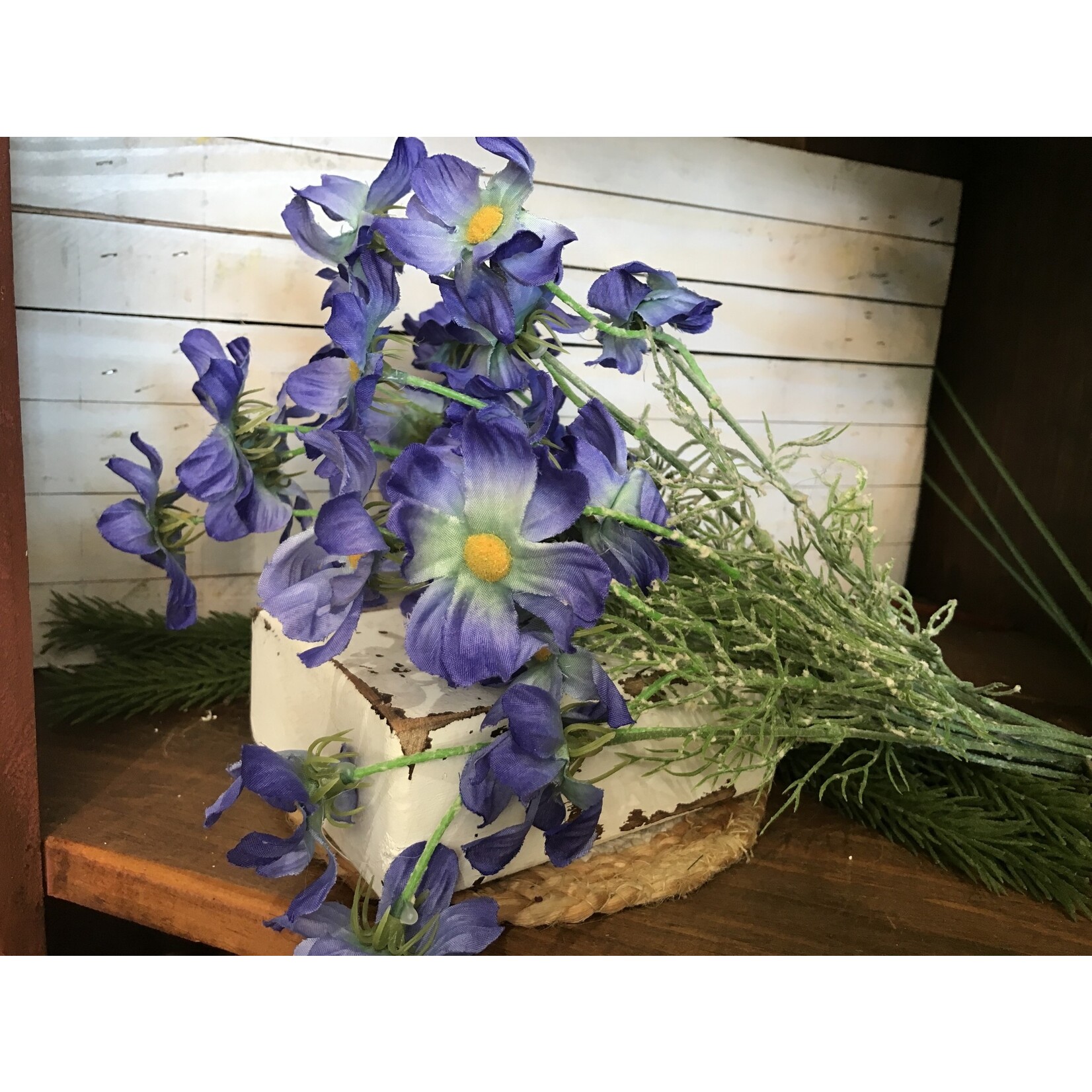 Cosmos Stem Blue/set of 3