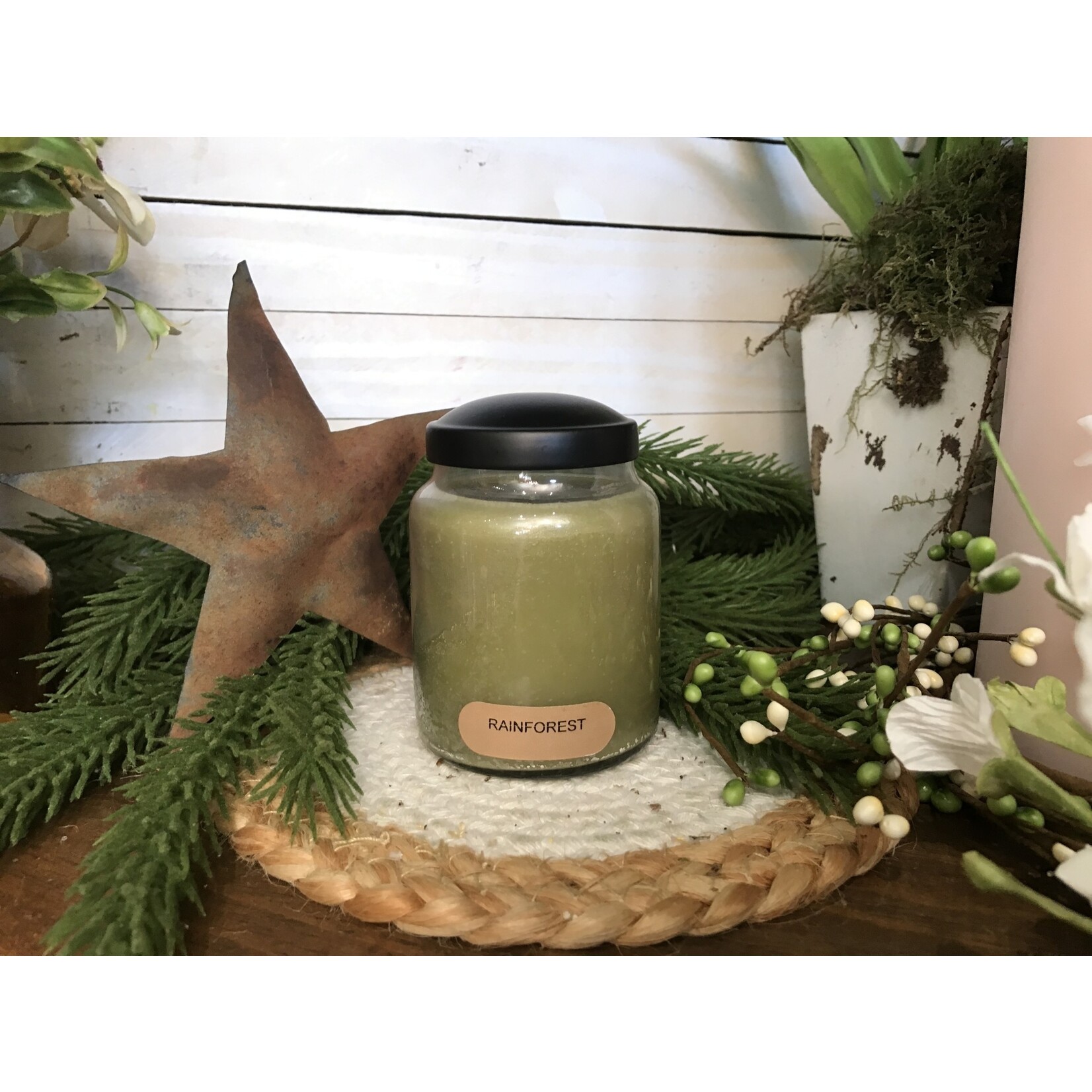 Cheerful Giver Rainforest Baby Jar