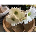 Gerber Daisy Real Touch White