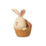 Bunny in Basket