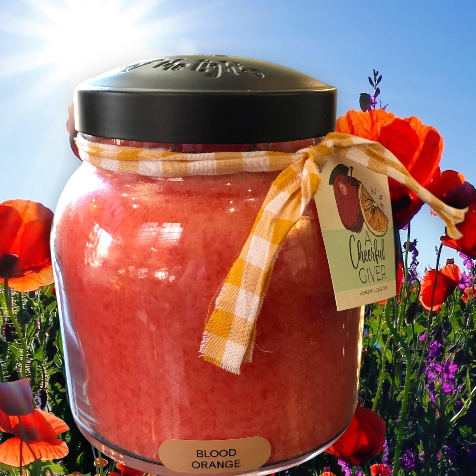 Cheerful Giver Blood Orange Papa