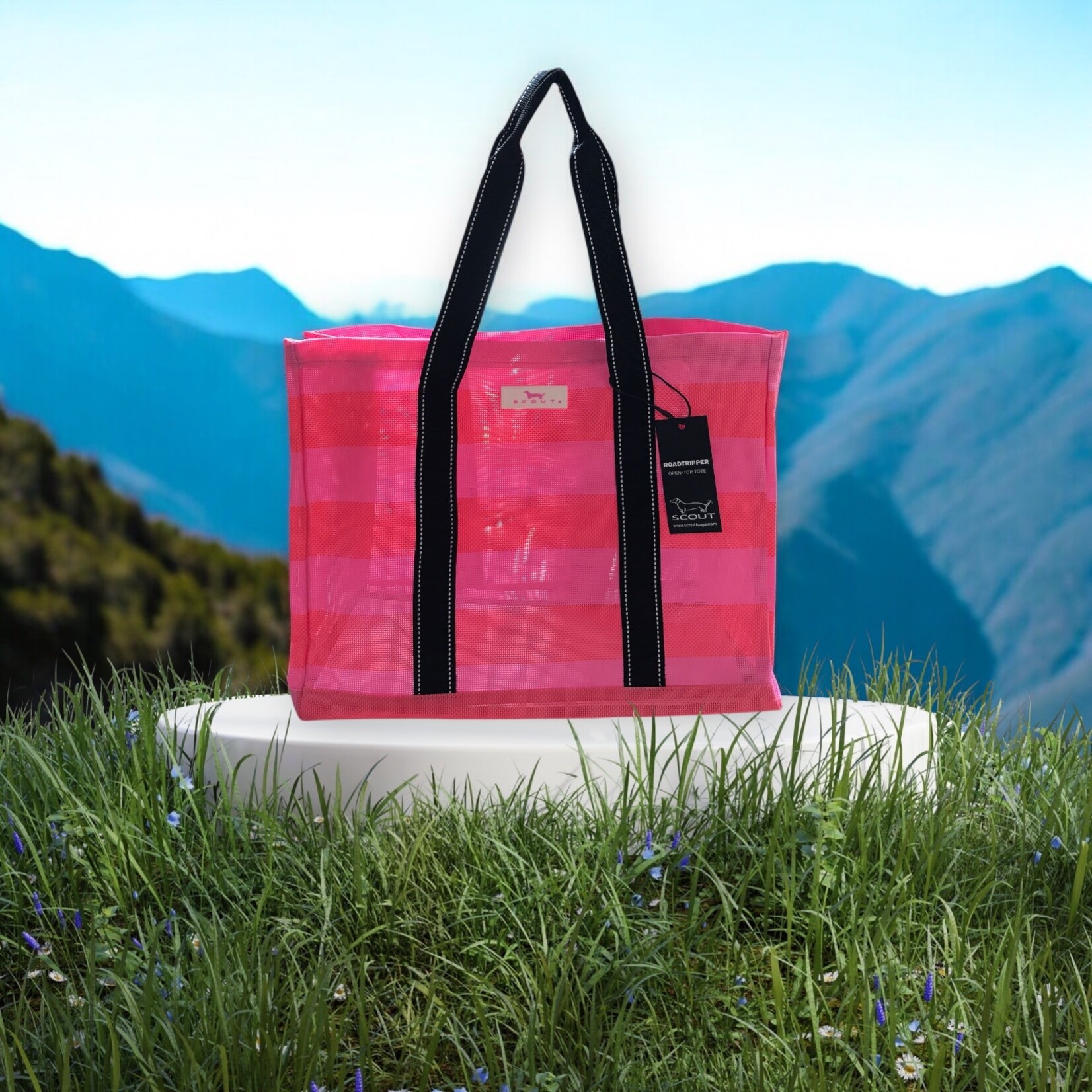 Scout RoadTripper Bubblegum & Watermelon