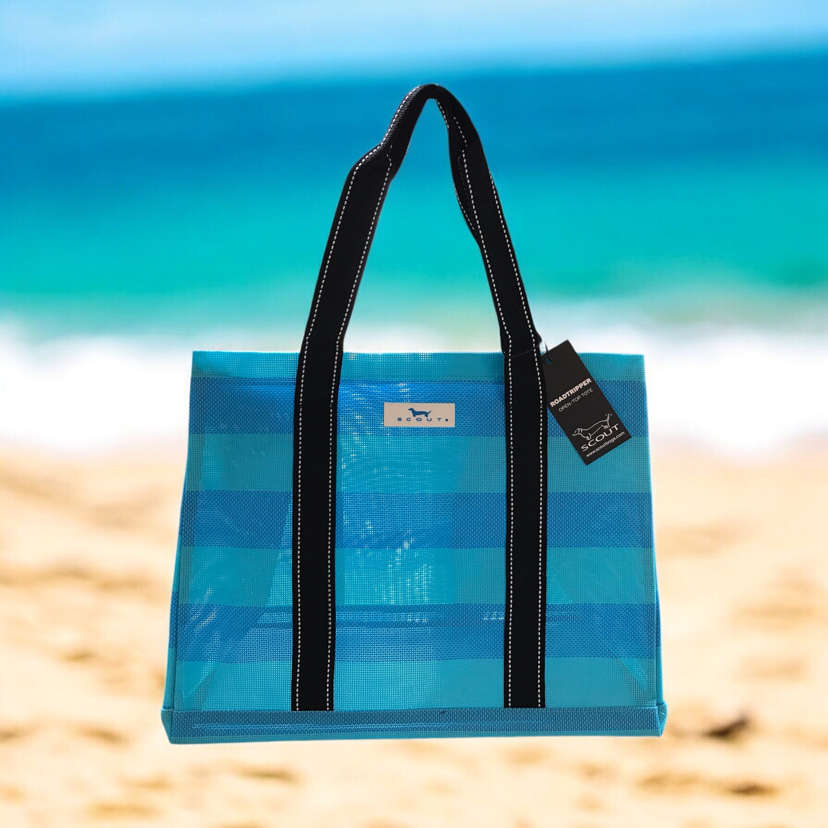 Scout RoadTripper French Blue & Pool