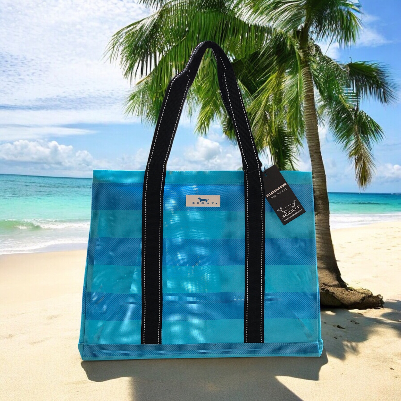 Scout RoadTripper French Blue & Pool