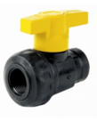 2 Way Poly Ball Valve