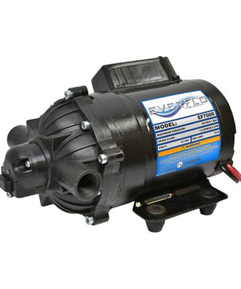 EverFlo Everflow Diaphragm Pump