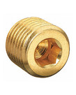 Brass Allen Head Plugs