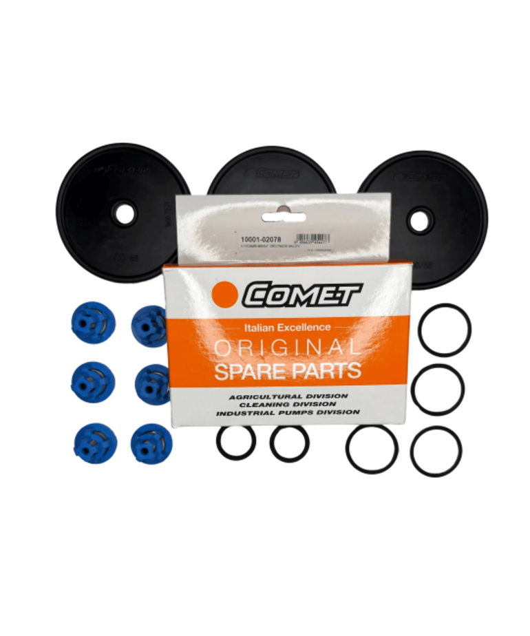 Comet Comet P40 Diaphragm and Check Valve Rebuild Kit
