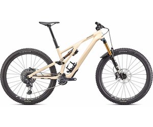 Specialized stumpjumper evo pro sale