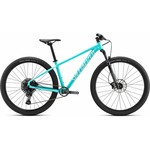 Specialized ROCKHOPPER Expert 29