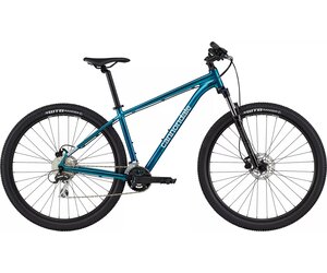 CANNONDALE - 29 M Trail 6 - The Bike Place