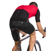Assos- Equipe RS Jersey S9 Targa - Speed Club 2023 - The