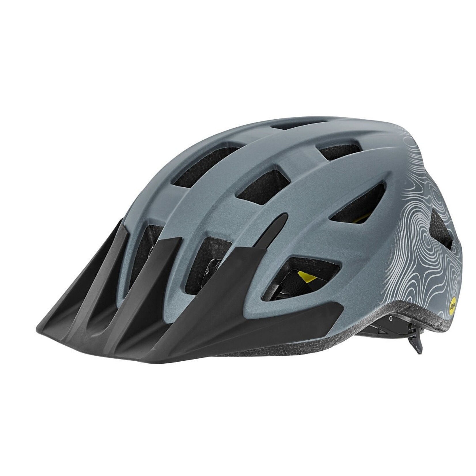 Giant Path MIPS Mens Helmet