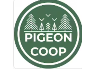 Pigeon Coop Designs