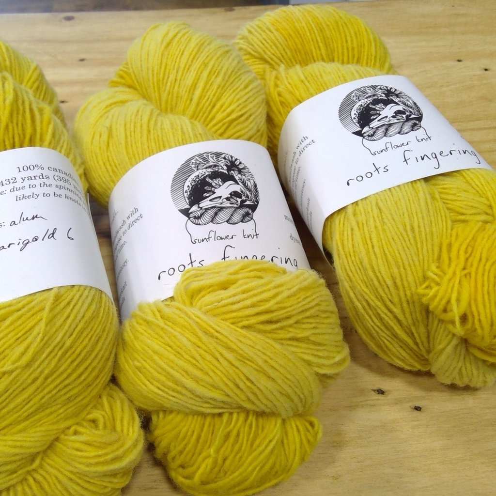 Sunflower Knits Roots fingering Yarn Divas Tea & Fibre Emporium