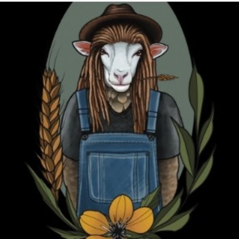 Woolerton Estates Yarns The Farmhand Fingering