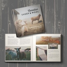 Sheep, Shepherd & Land  by Anna Hunter