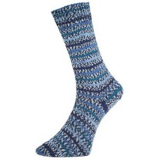 Pro Lana Fjord Sock Arctic