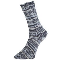 Pro Lana Fjord Sock Arctic