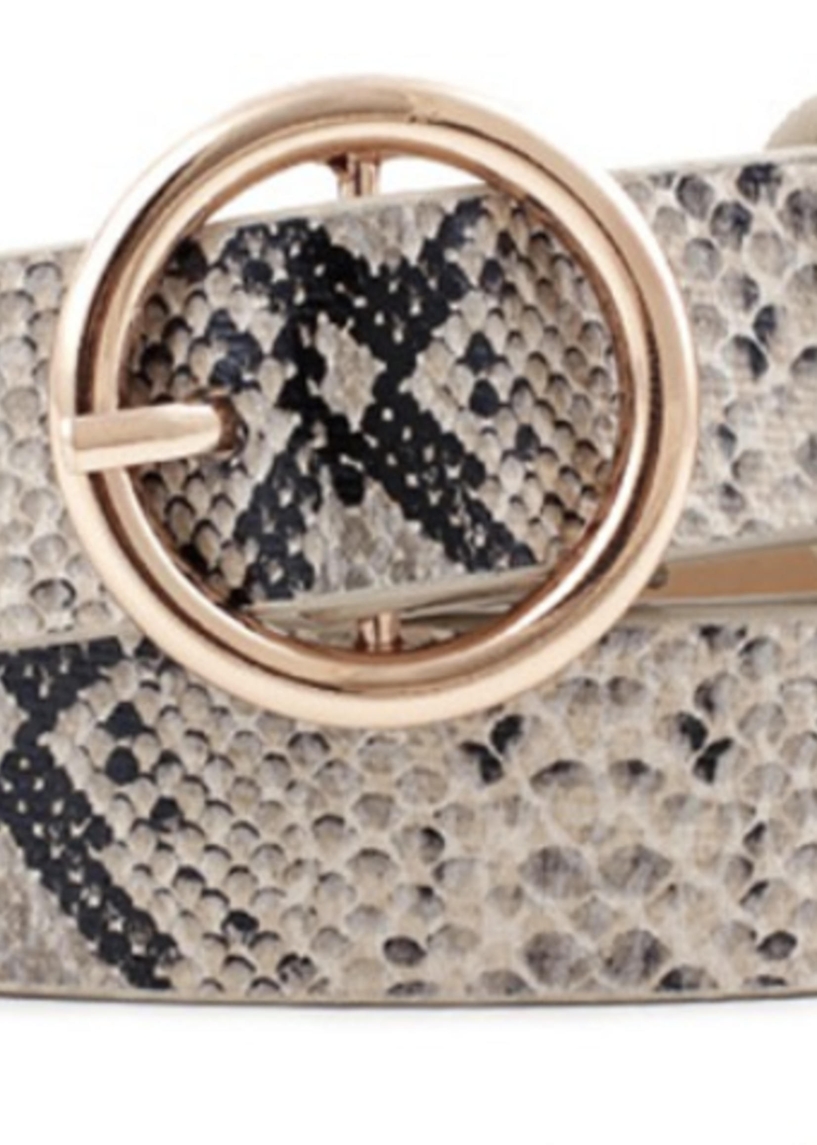 Snake Print Belt *FINAL SALE*
