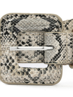 Safari Belt