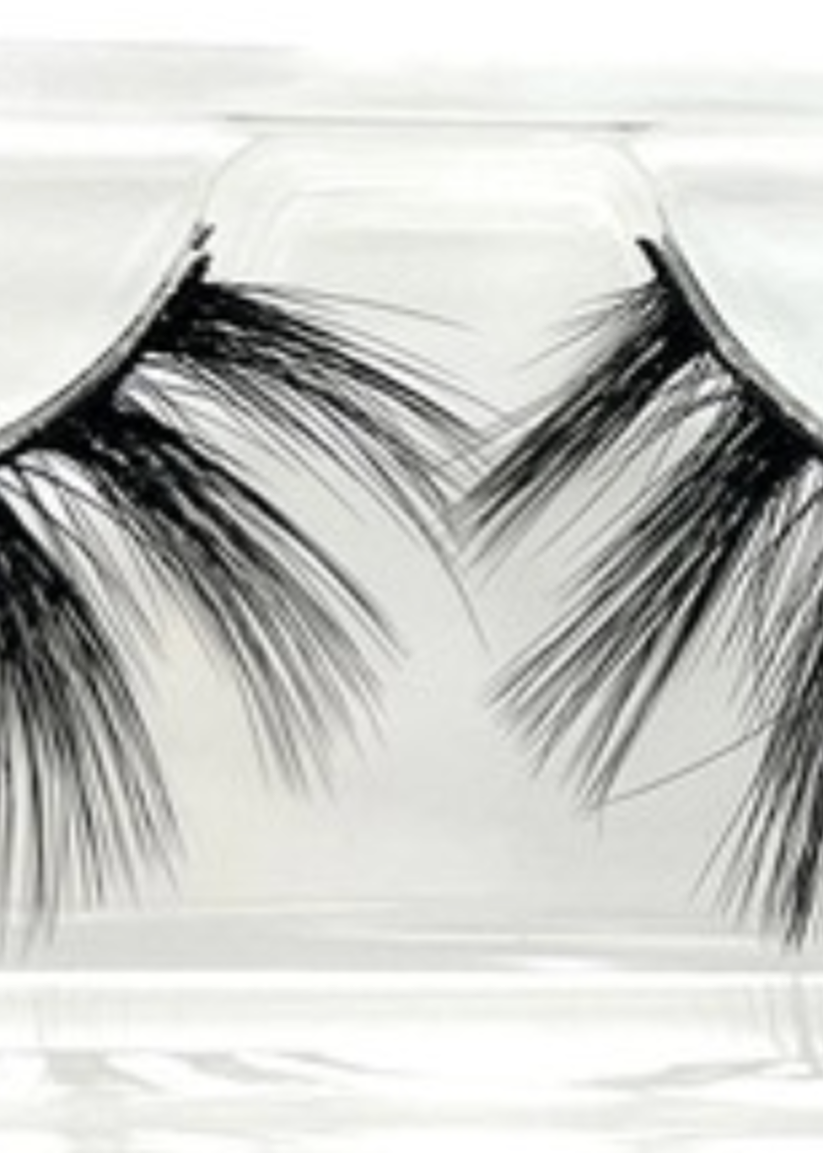 Glam Eyelashes