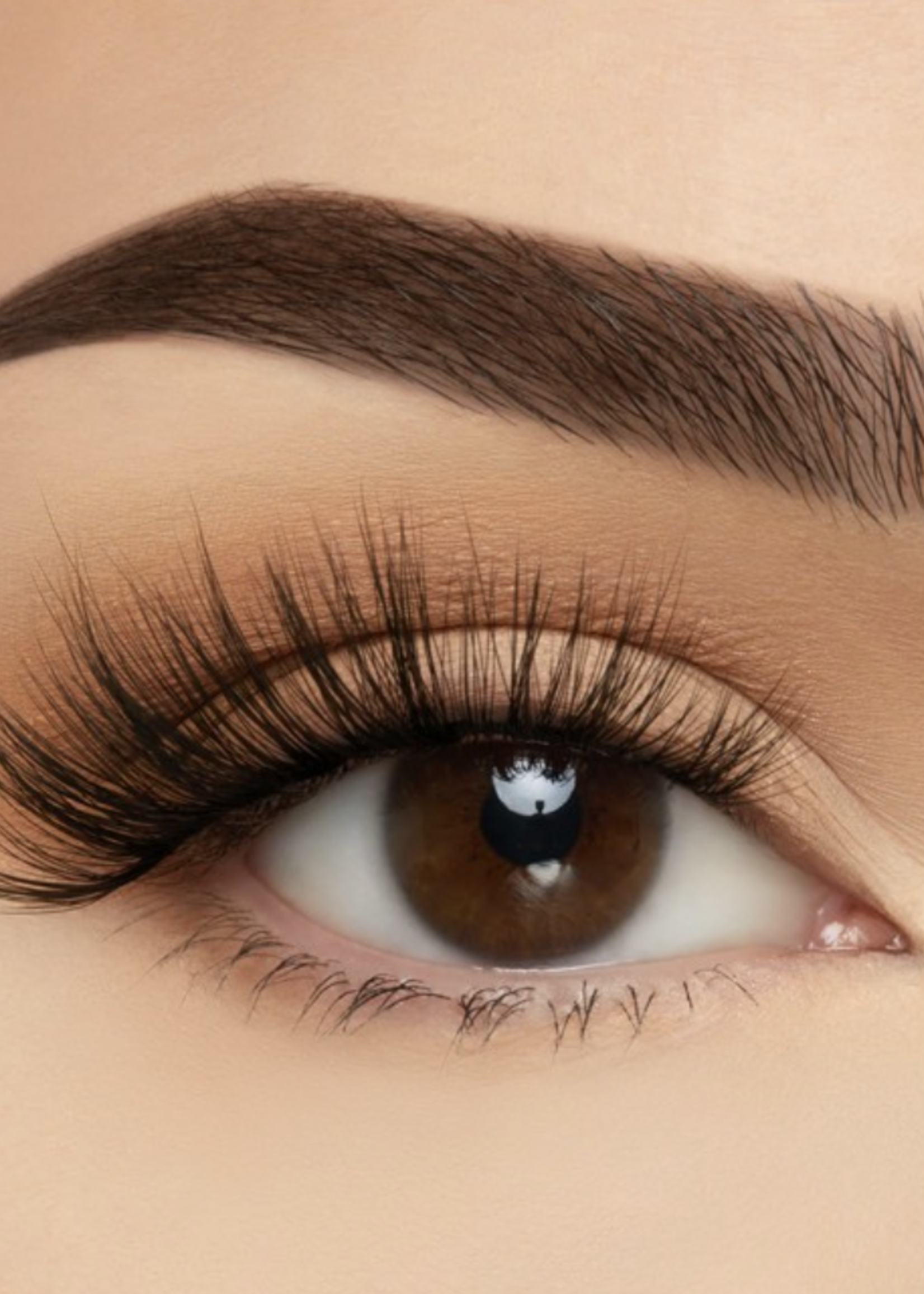 Hollywood Eyelashes