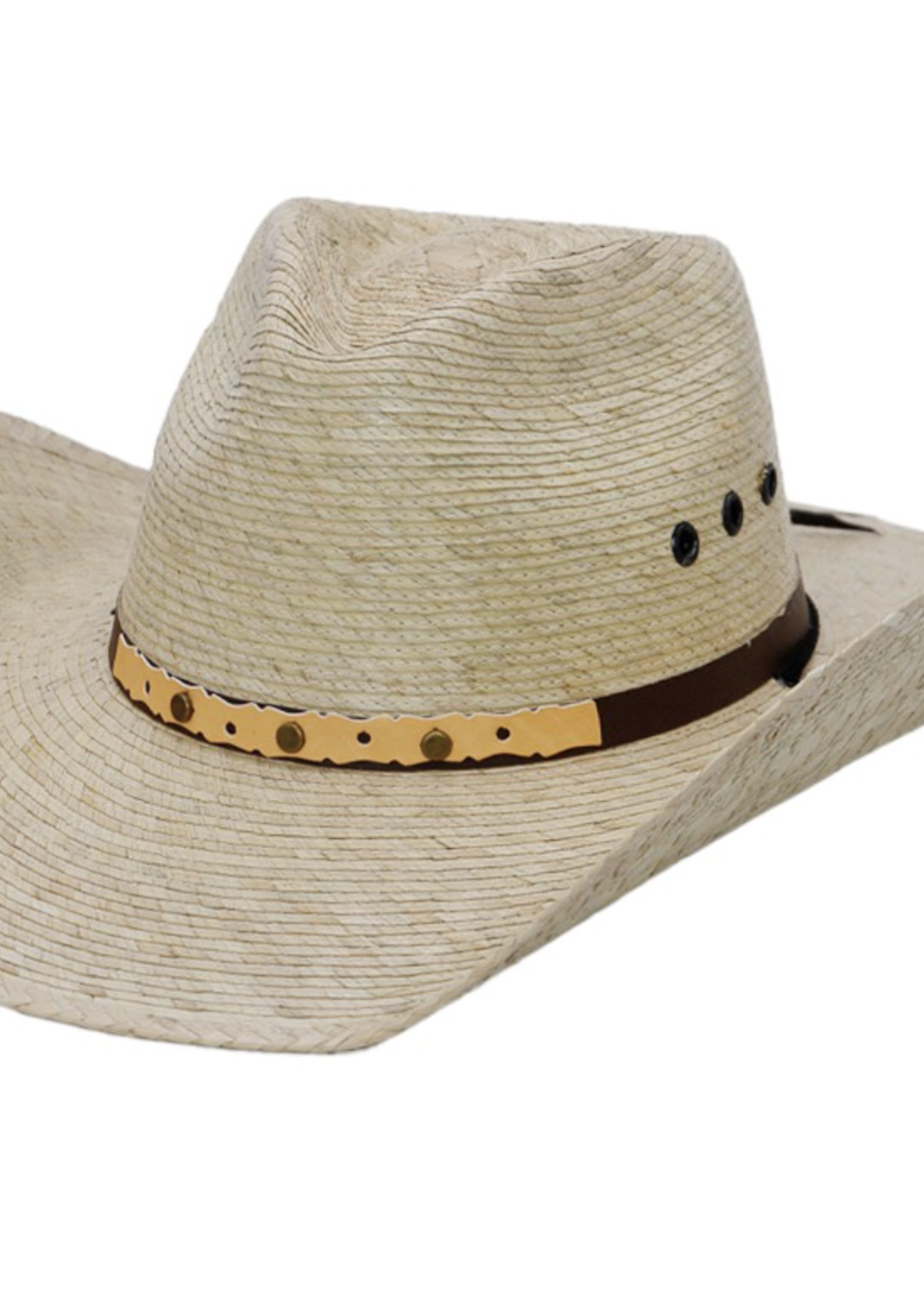 Along For The Ride Hat