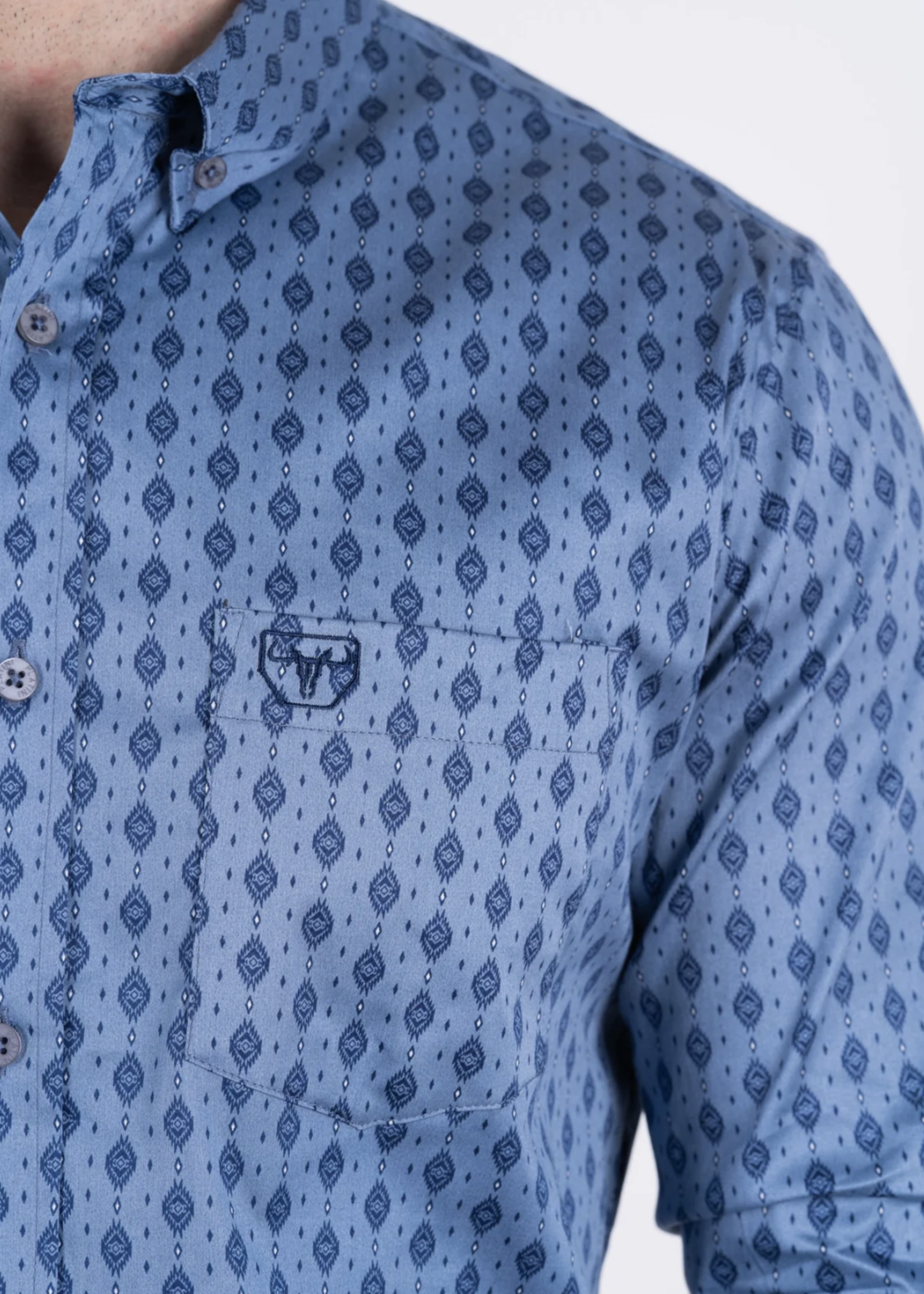 Charles Button Down Shirt