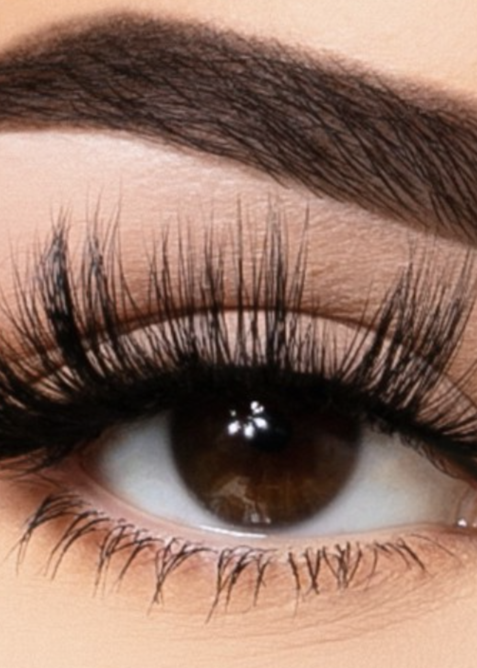 On The Daily Eyelashes