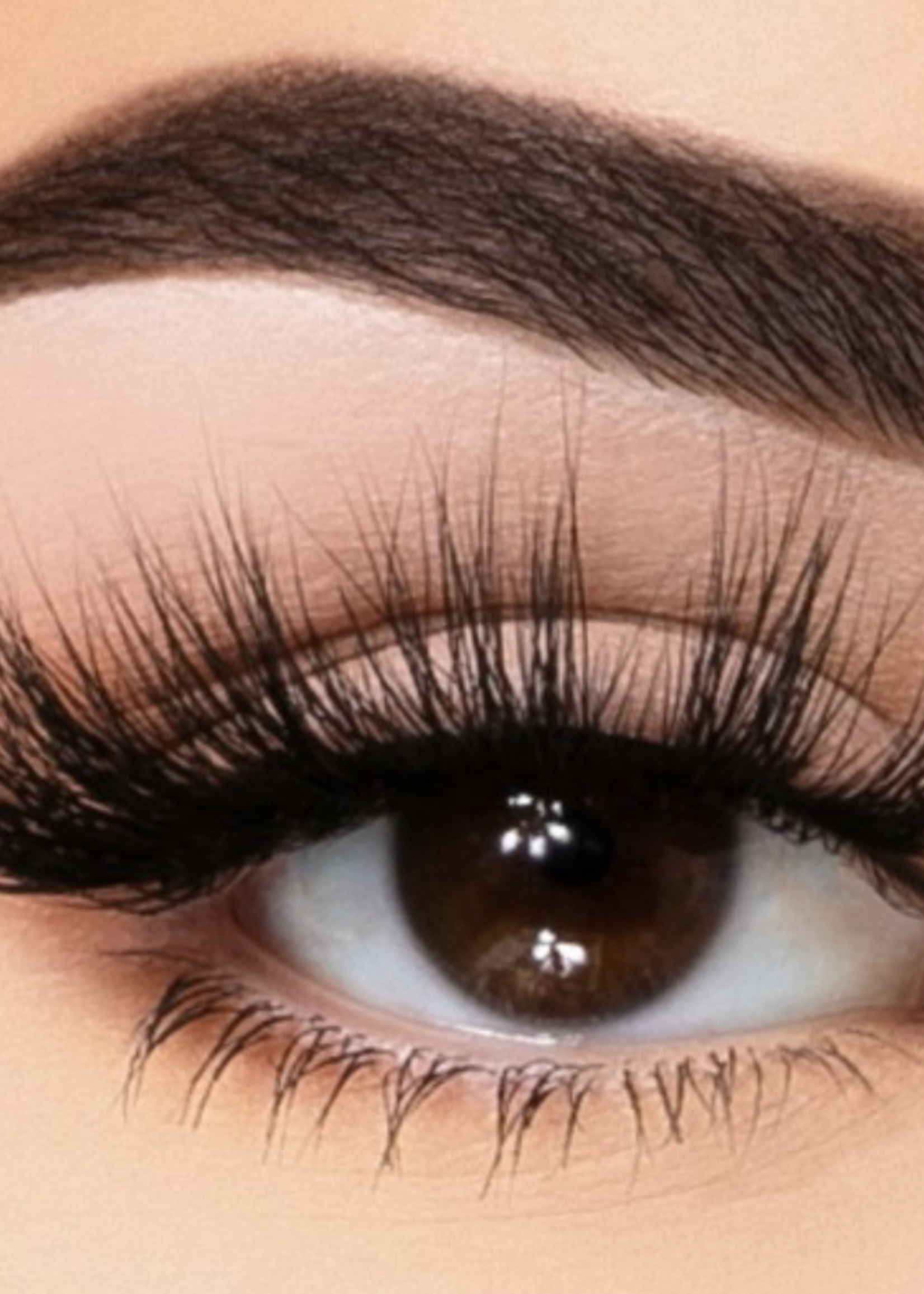 My Fav Eyelashes