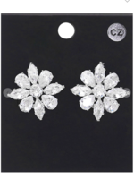 Sweet And Cute Earrings