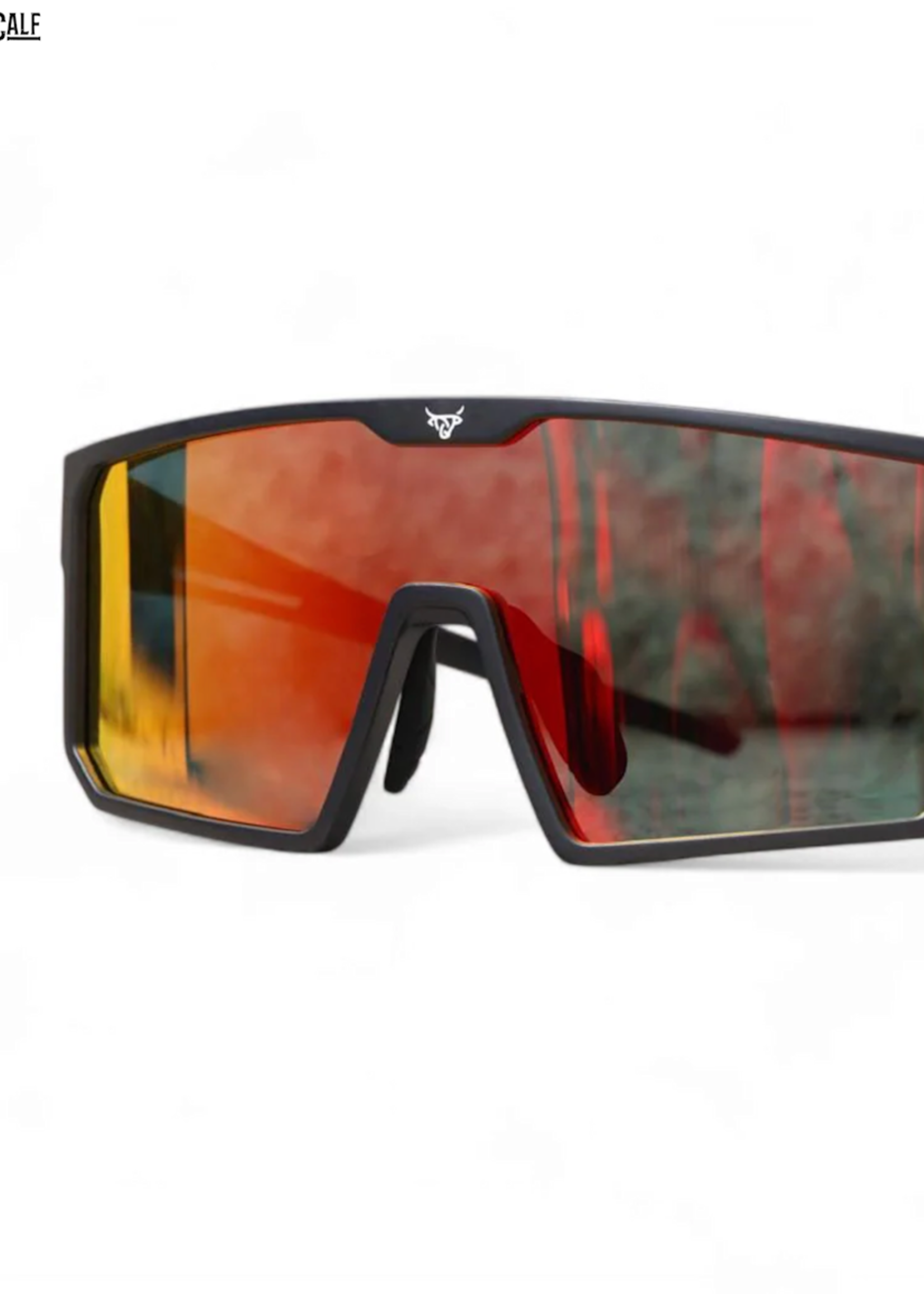 Comet Sunglasses ( LOST CALF )