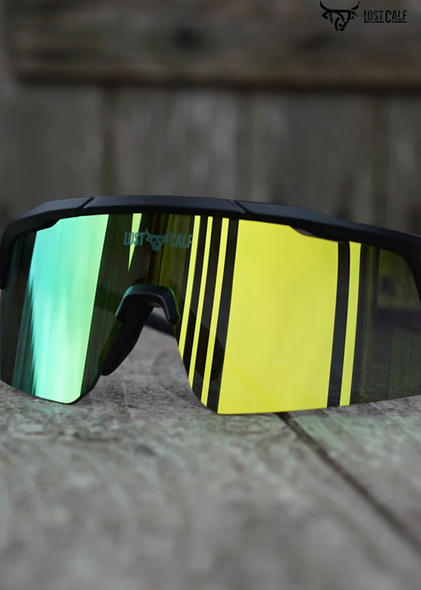 Fenix Sunglasses