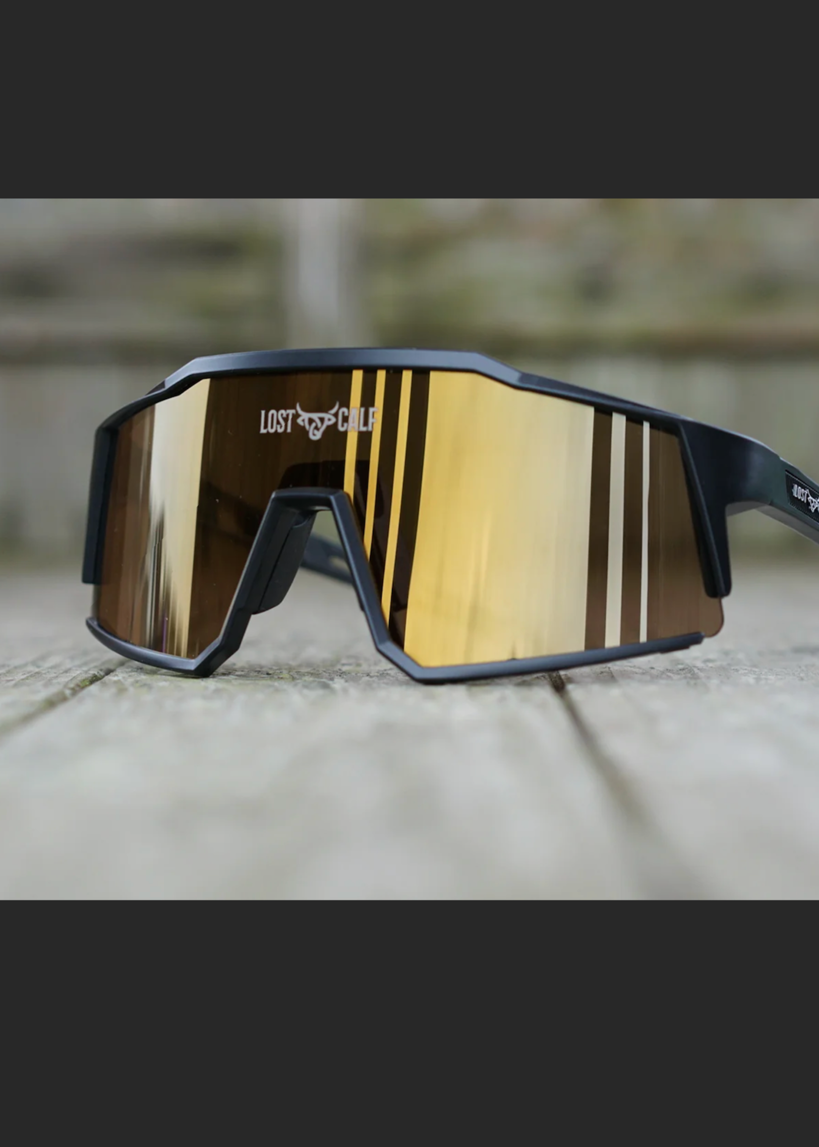 Raptor Glasses  ( LOST CALF )