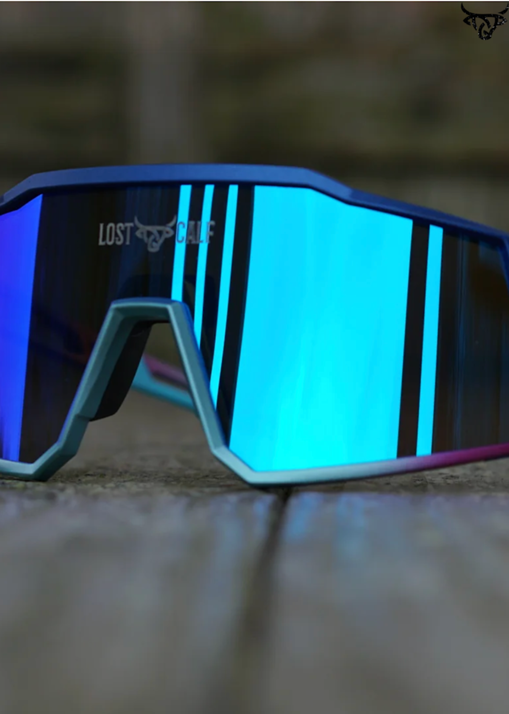Raptor Glasses  ( LOST CALF )