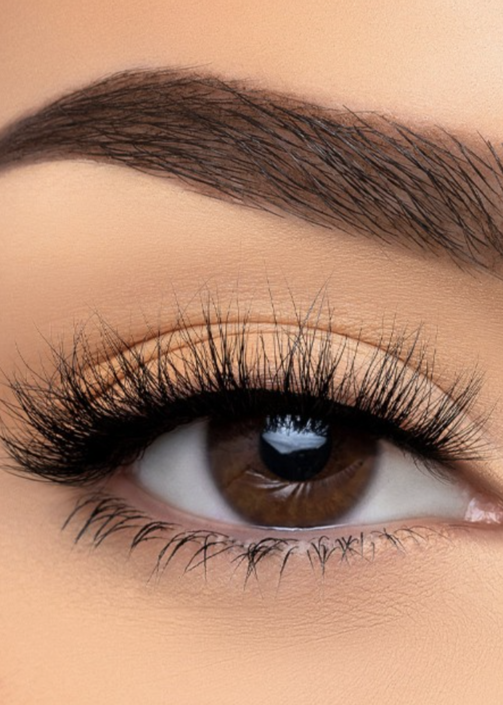Private Talk Eyelashes