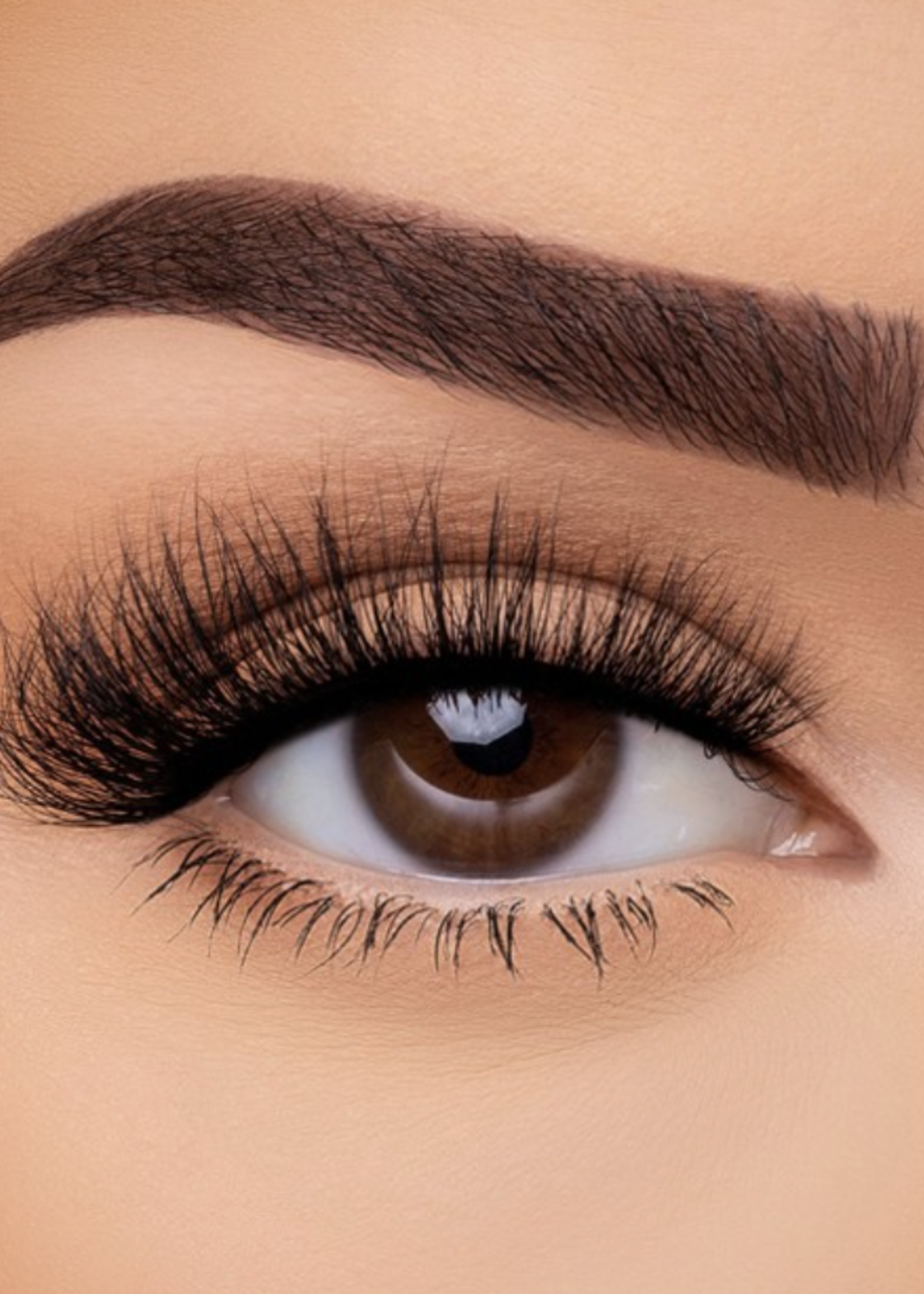 Shook Eyelashes