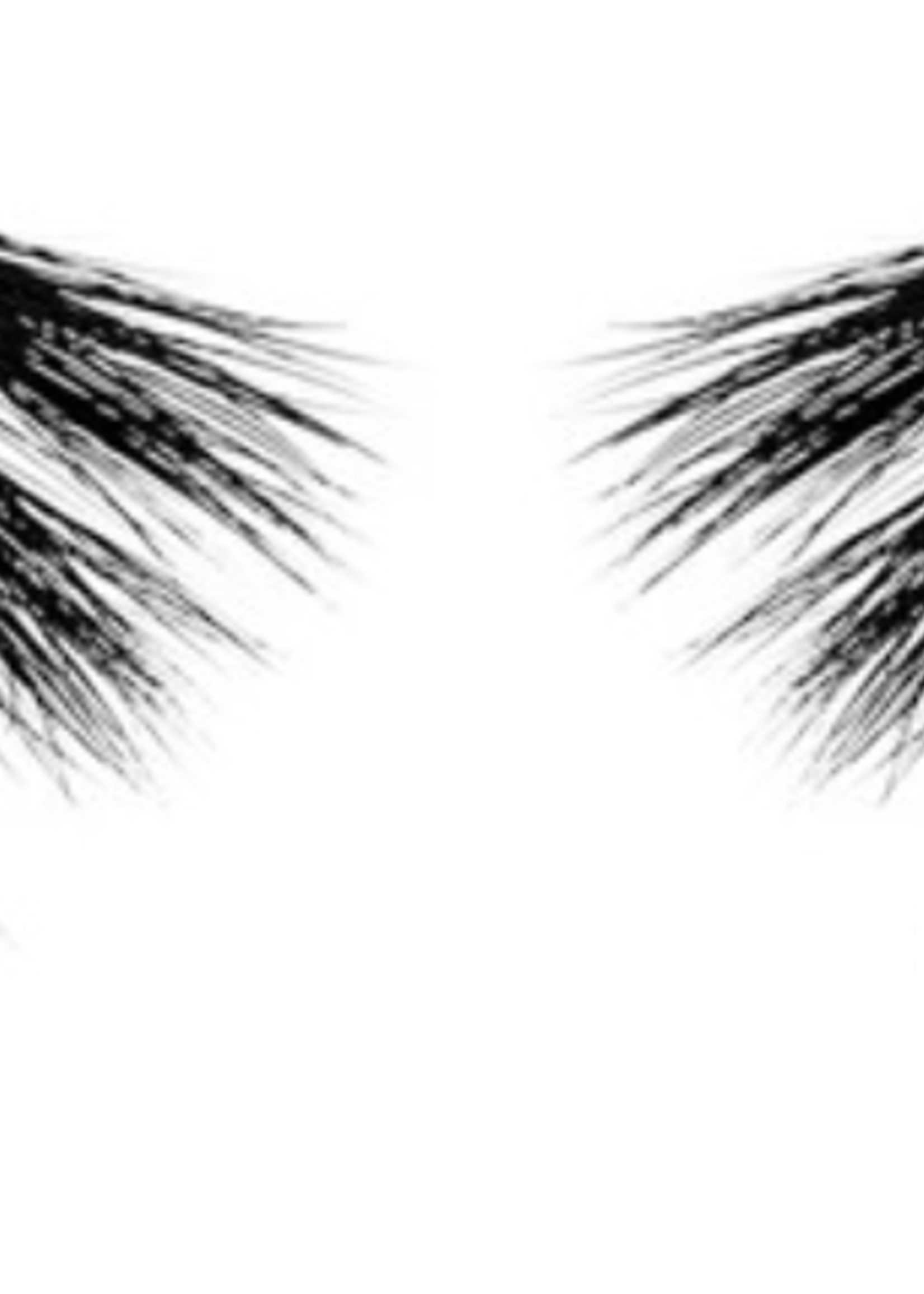 My Fav Eyelashes