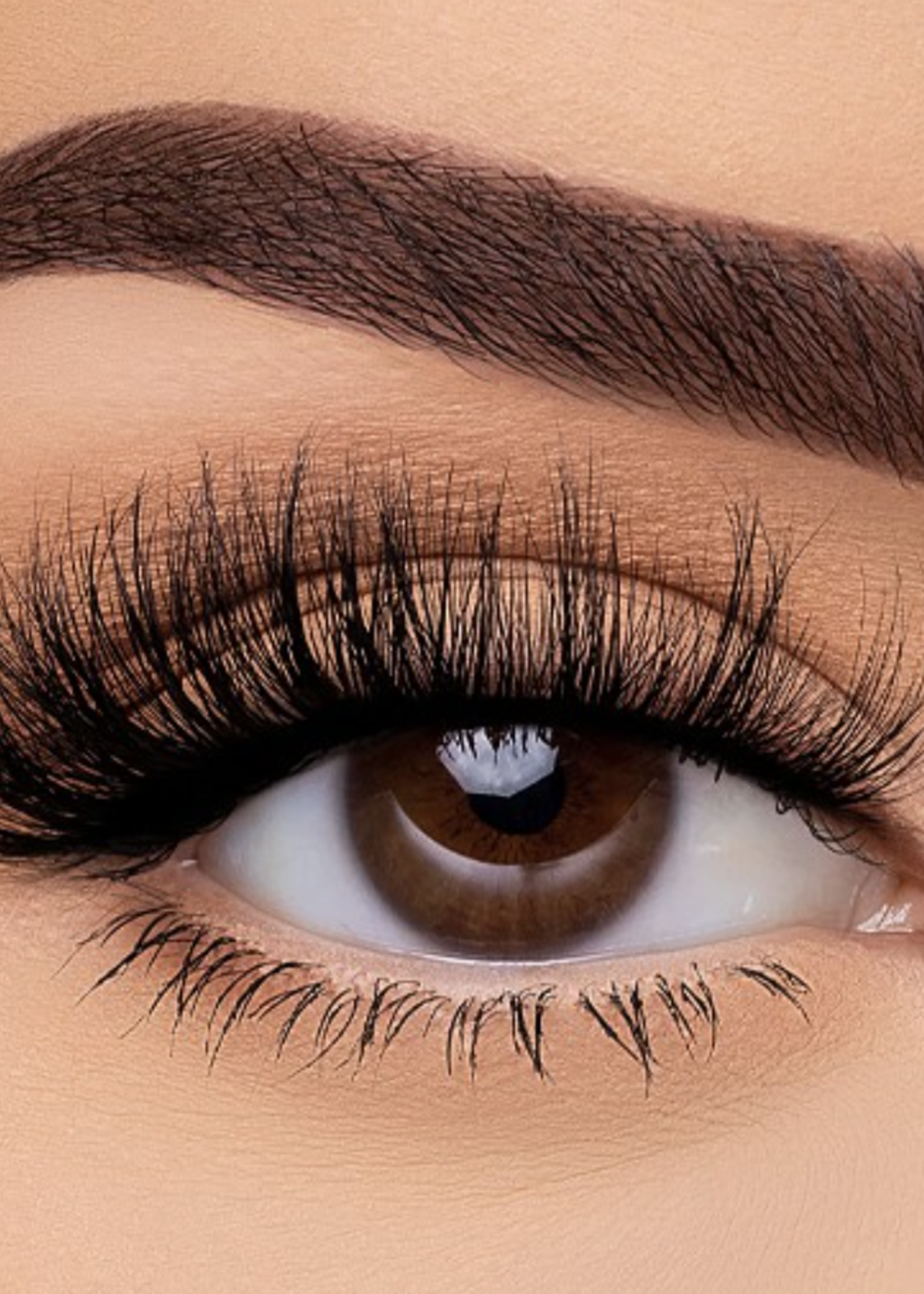 Exclusive Eyelashes
