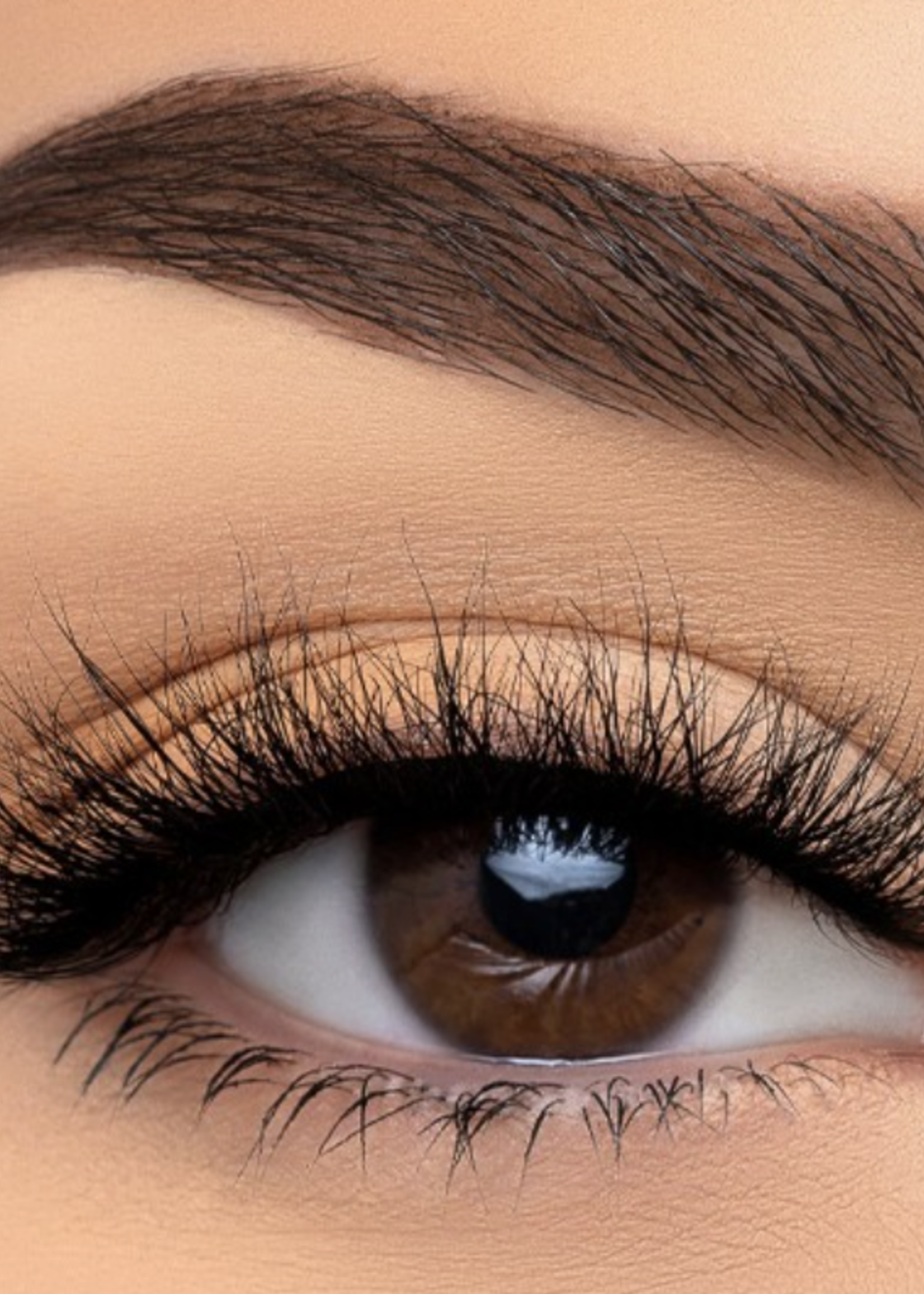 Sinless Eyelashes