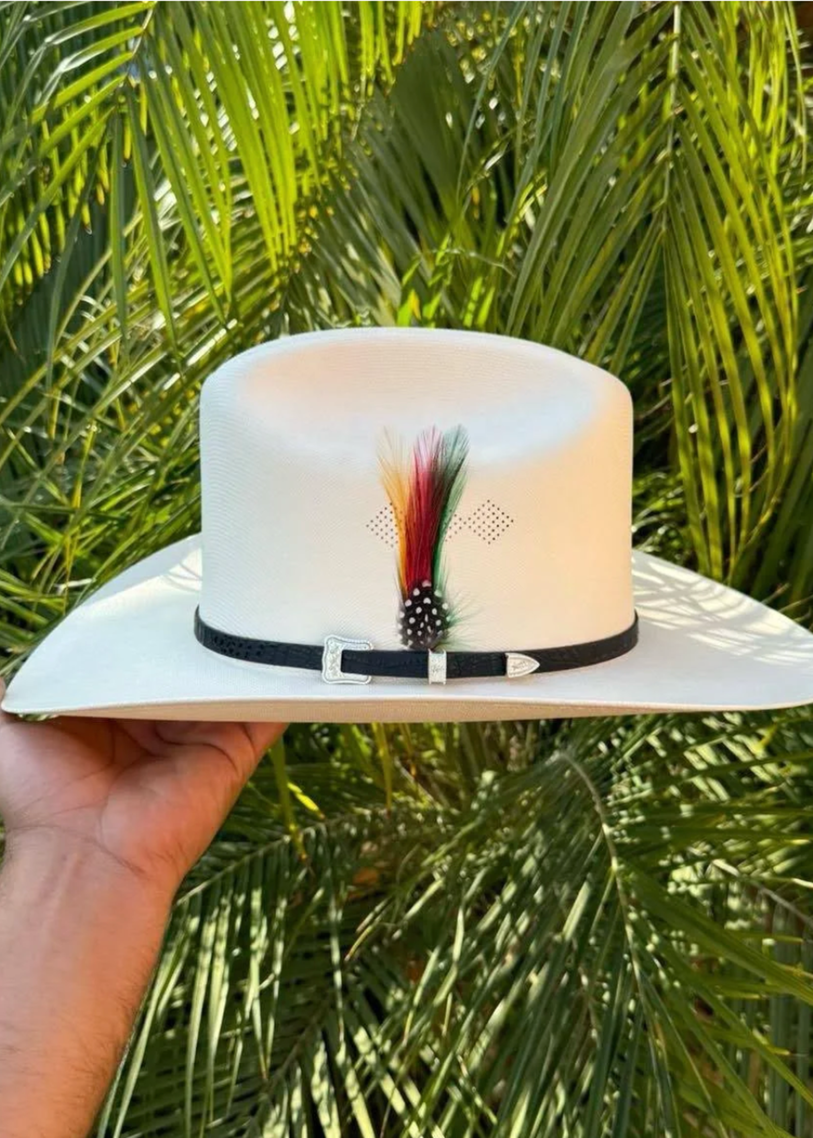 1,000x Sombrero "Johnson"