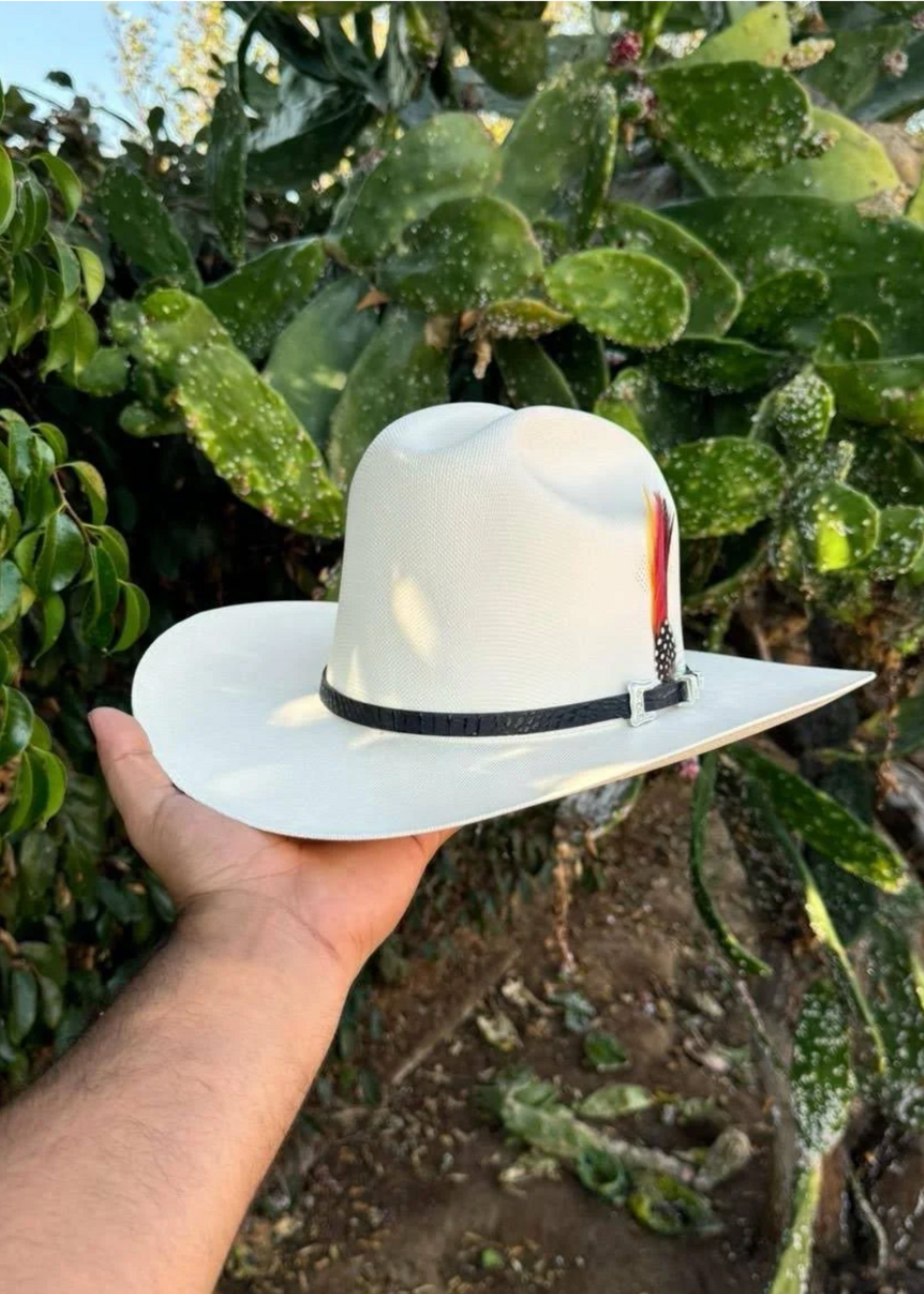 1,000x Sombrero "Johnson"