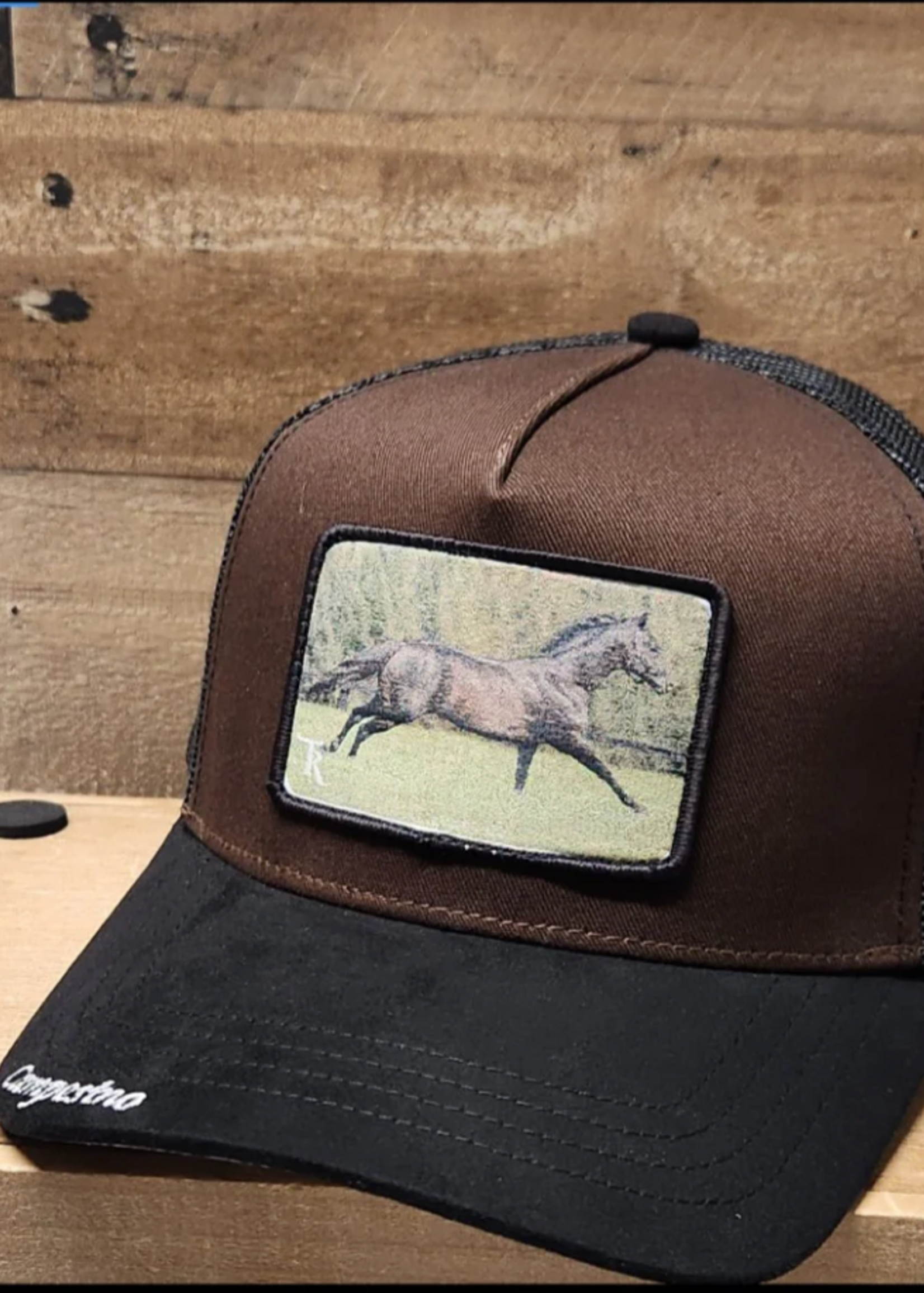 Campesino Tornado Horse