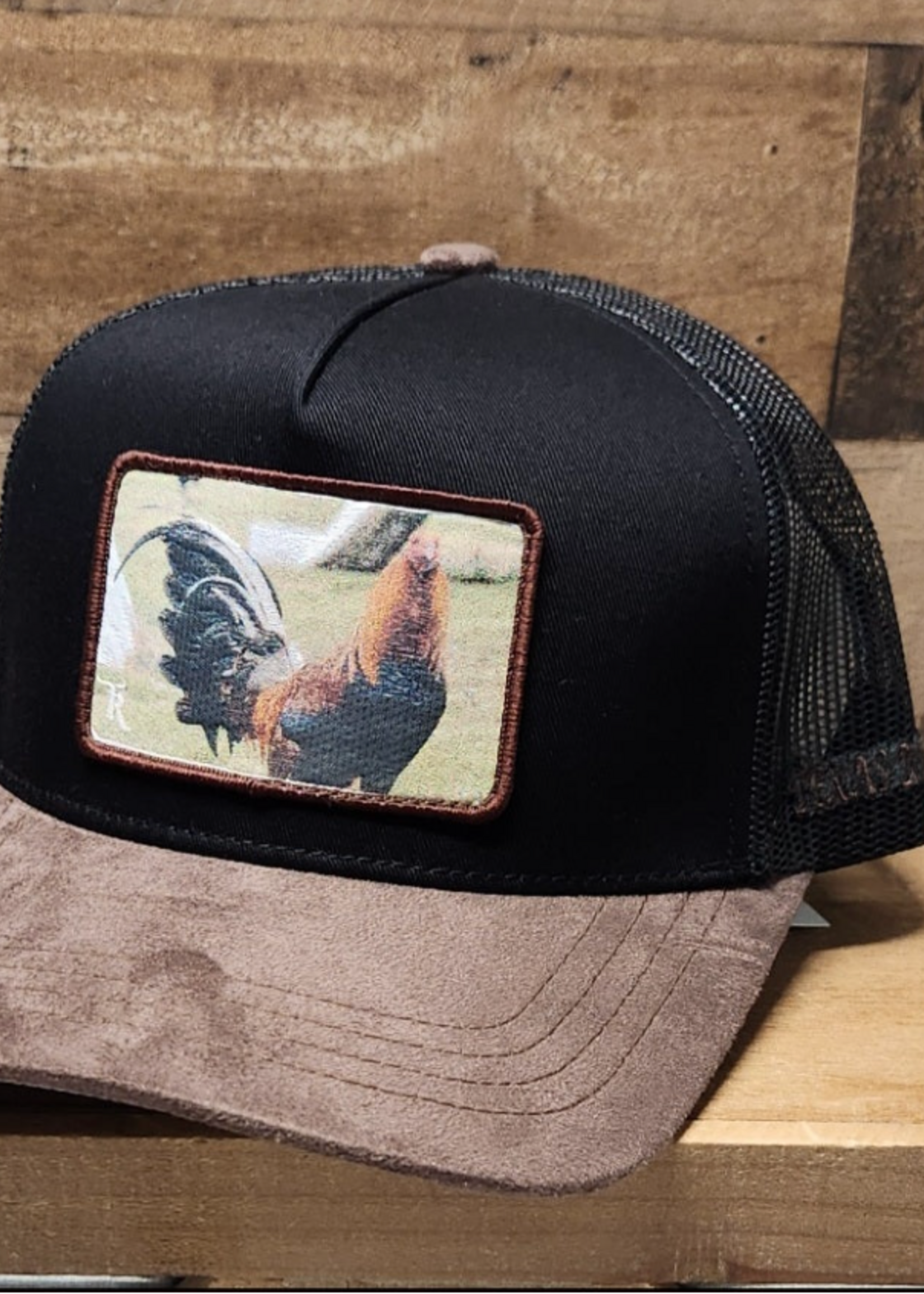 Campesino Gallo Giro