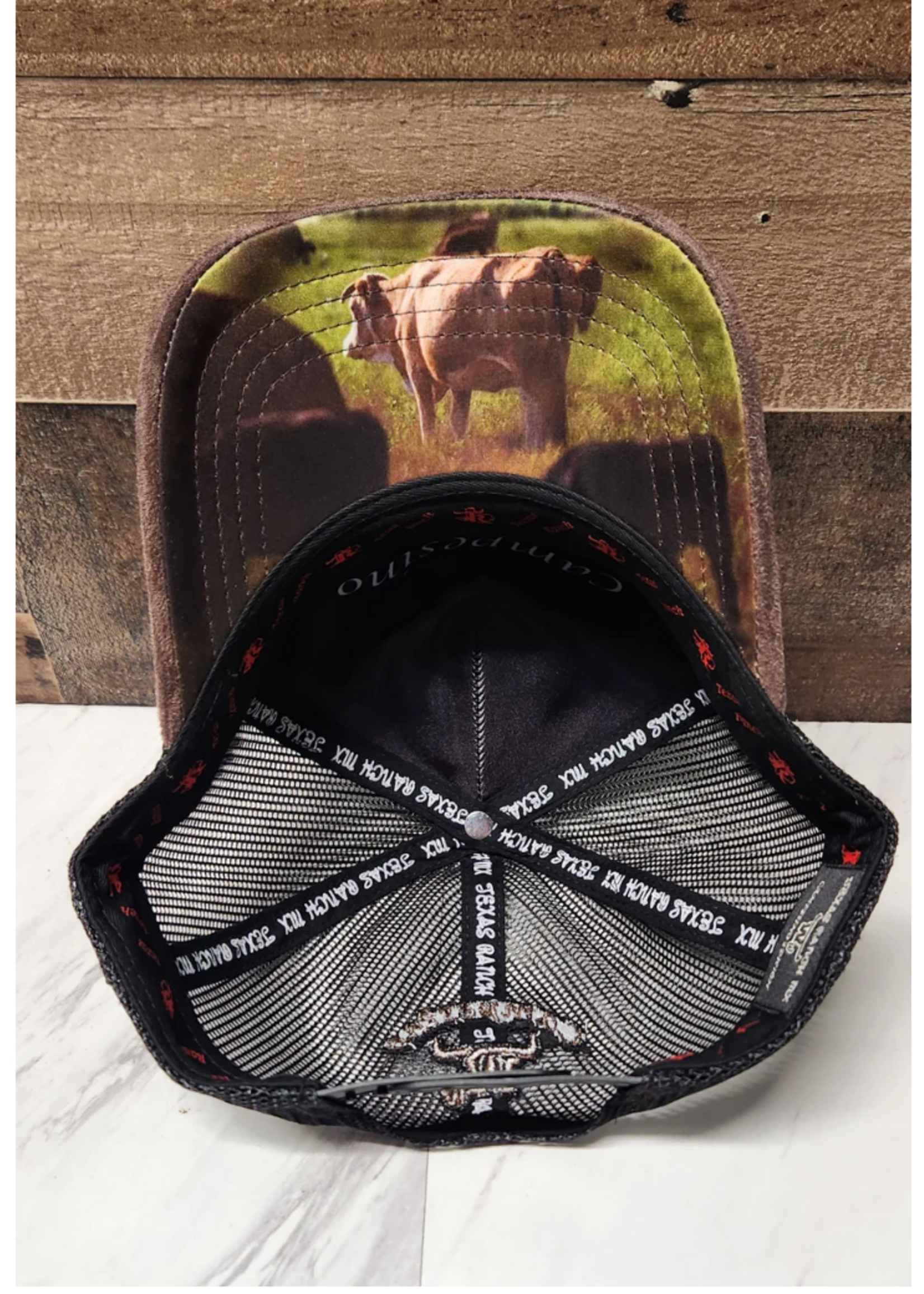 Campesino Gallo Giro