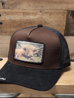 Campesino Long Horn Bull